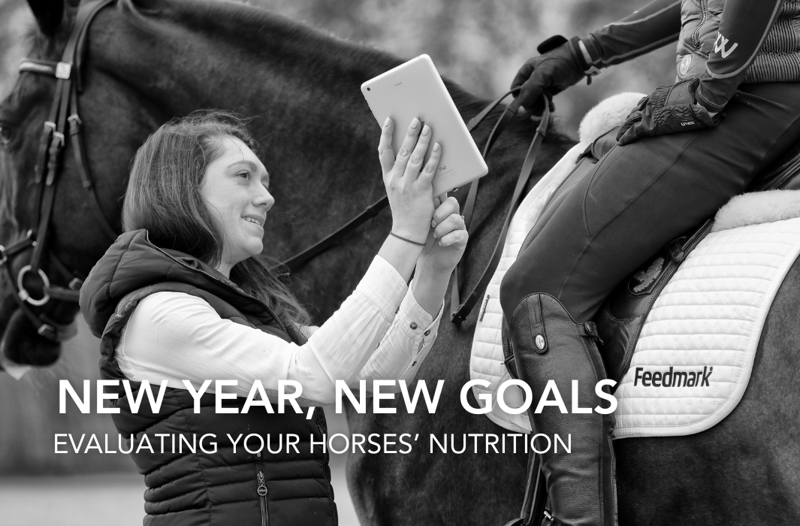 New Year, New Goals: Evaluating Your Horses' Nutrition | Equine Science Matters™